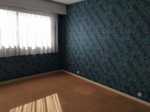 Appartement Romorantin