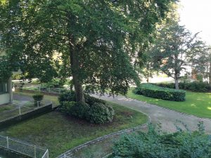 Appartement Romorantin