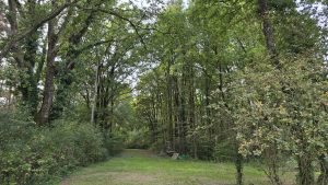 PROPRIÉTÉ LANGON SUR CHER