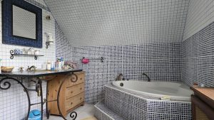 PROPRIÉTÉ LANGON SUR CHER