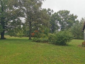 Propriété mennetou sur cher