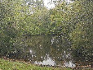 Propriété mennetou sur cher