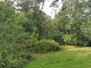 PROPRIÉTÉ MENNETOU SUR CHER