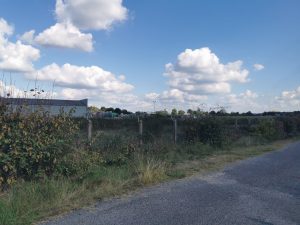 Terrain Pruniers de Sologne