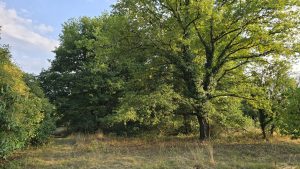 Maison Villeherviers