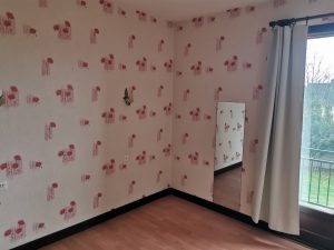 Maison Spacieuse Romorantin