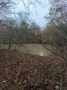 territoire de chasse