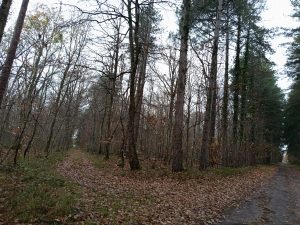 territoire de chasse