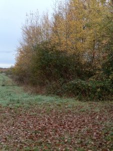 territoire de chasse