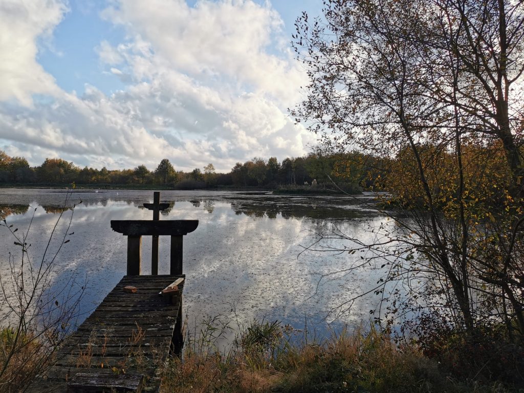 PROPRIÉTÉ COURMEMIN image 4