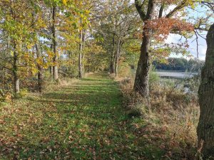 Propriété Courmemin