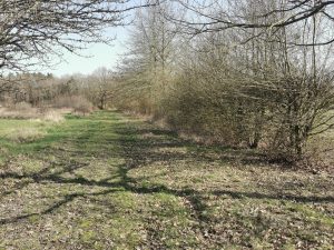 Propriété Courmemin