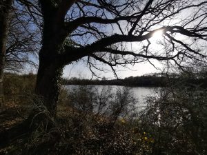 Propriété Courmemin