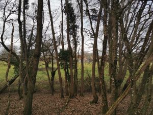 Propriété Châtres sur cher