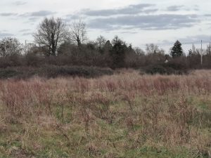 Propriété Châtres sur cher