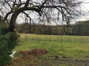 Propriété Châtres sur cher