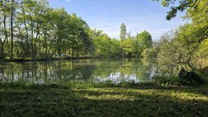 Propriété Mur De Sologne