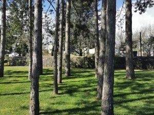 Villa Selles Sur Cher