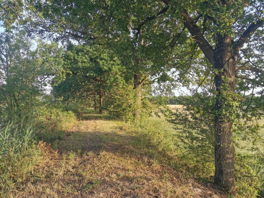 TERRAIN DE LOISIRS SAINT JULIEN SUR CHER image 2