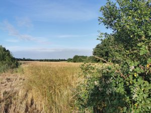 TERRAIN DE LOISIRS