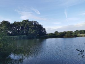 TERRAIN DE LOISIRS
