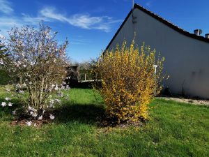 Maison Romorantin