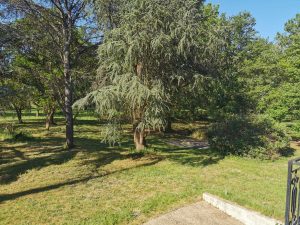 MAISON SPACIEUSE ROMORANTIN