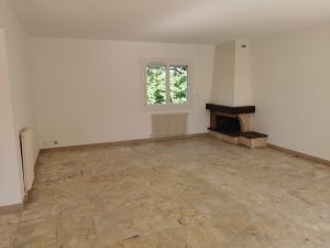MAISON SPACIEUSE ROMORANTIN