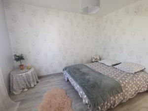 Maison Spacieuse Romorantin