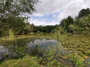 Propriété Genouilly