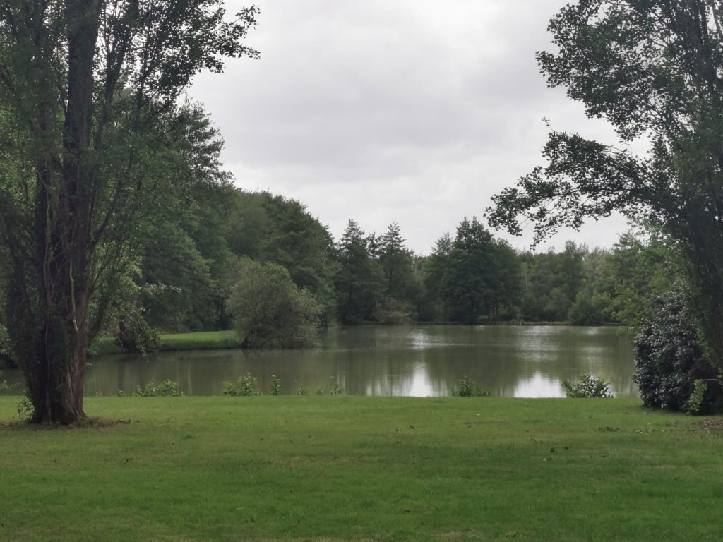 PROPRIÉTÉ GENOUILLY image 4