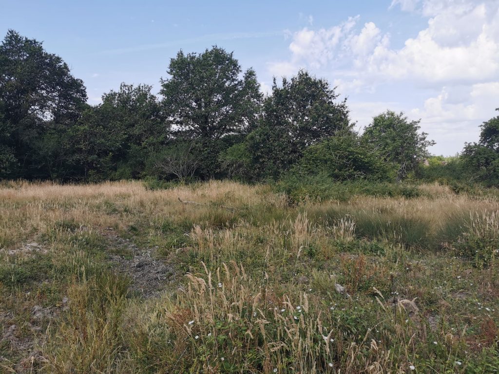 PROPRIÉTÉ LOREUX image 4