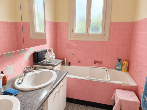 MAISON 5 CHAMBRES ROMORANTIN